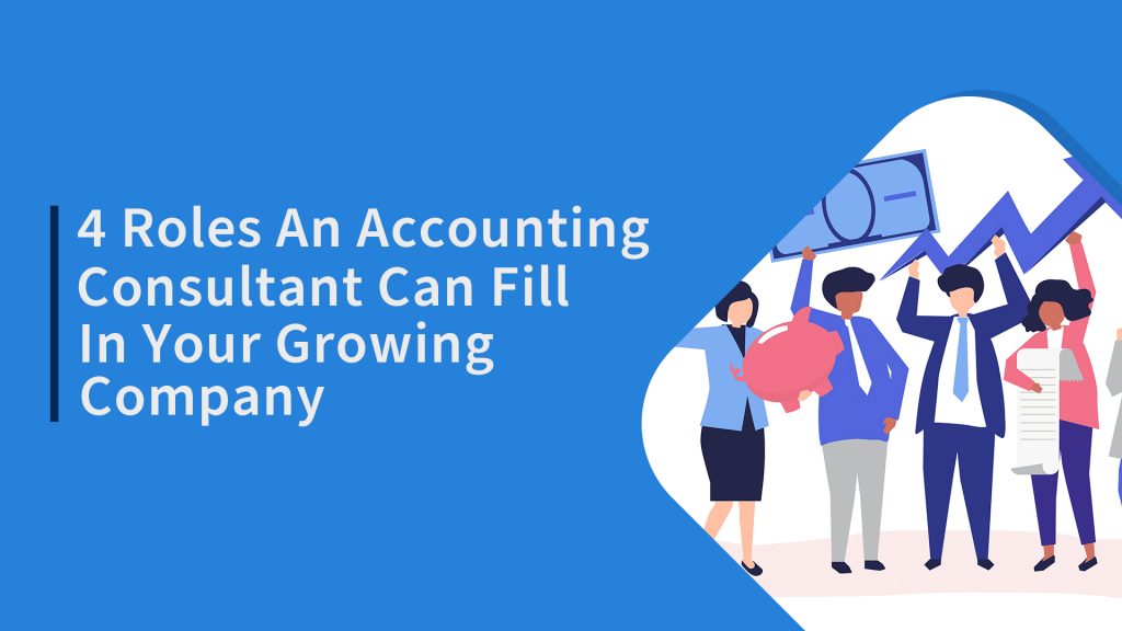 4 Roles An Accounting Consultant Can Fill In Your Growing ...