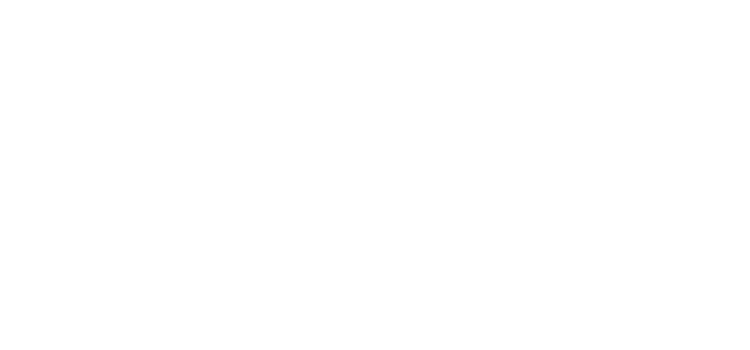 Palette Skills Logo White